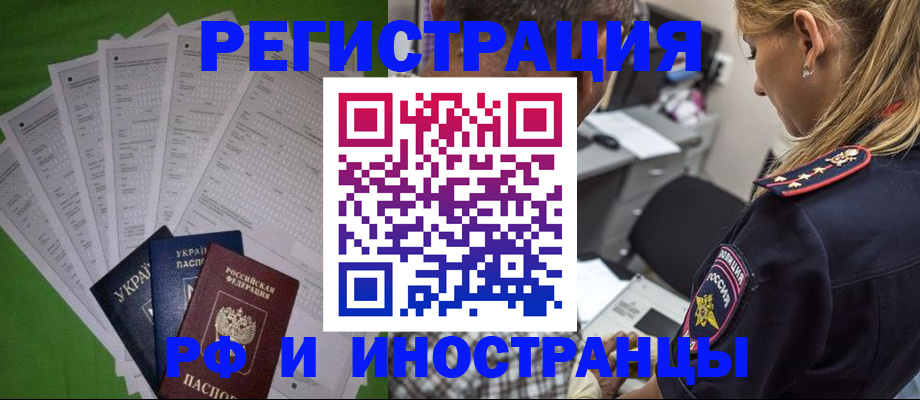 временная регистрация поиск в Курской области